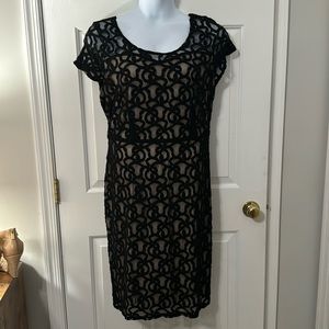 Lane Bryant Lace Illusion Dress Size 18